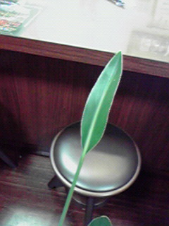 2010101217060000.jpg