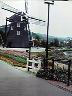 2010101516130000.jpg